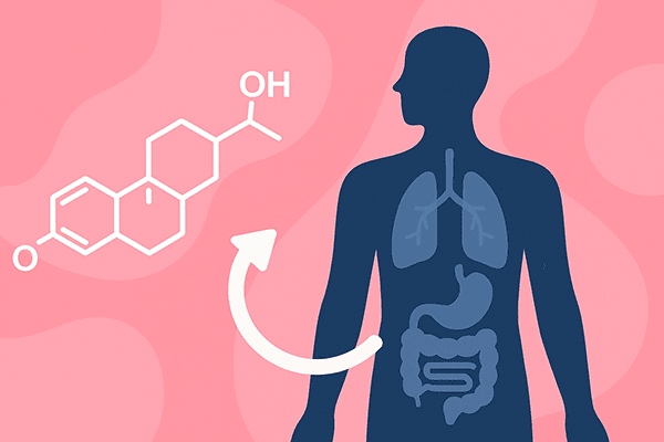 Estrogen molecule and male body showing affected organs