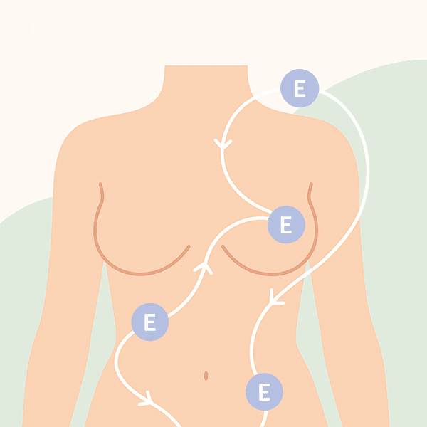 Female body with estrogen pathway markers